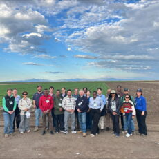 Cotton research takes centre stage in Narrabri