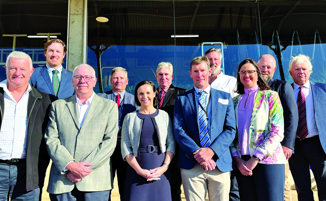 New chair, board members for Cotton Australia