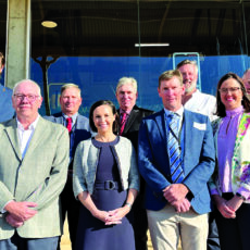 New chair, board members for Cotton Australia