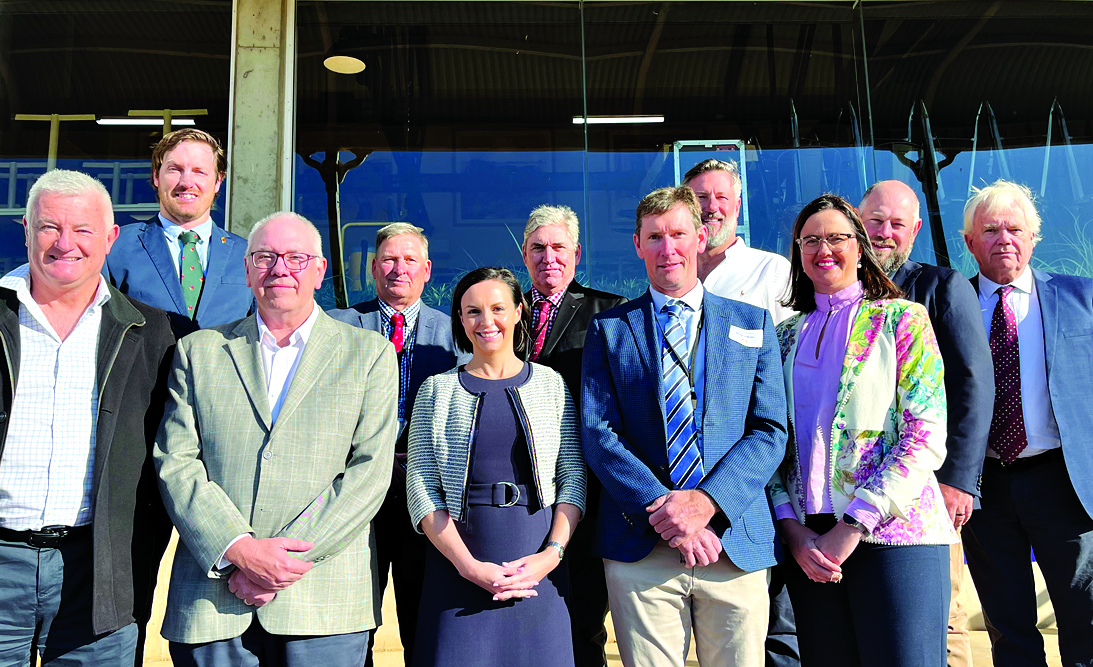 New chair, board members for Cotton Australia