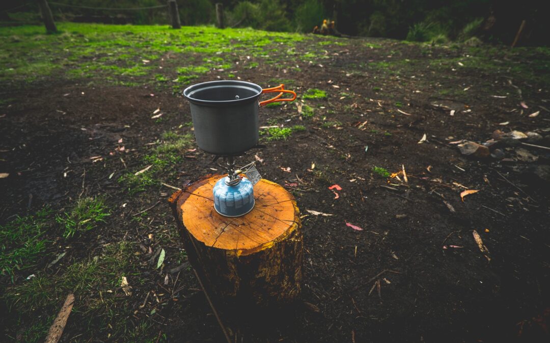 Campfire ban now in place for Pilliga Forest