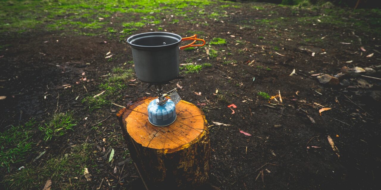 Campfire ban now in place for Pilliga Forest