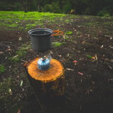 Campfire ban now in place for Pilliga Forest