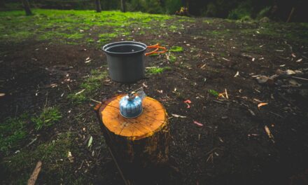 Campfire ban now in place for Pilliga Forest