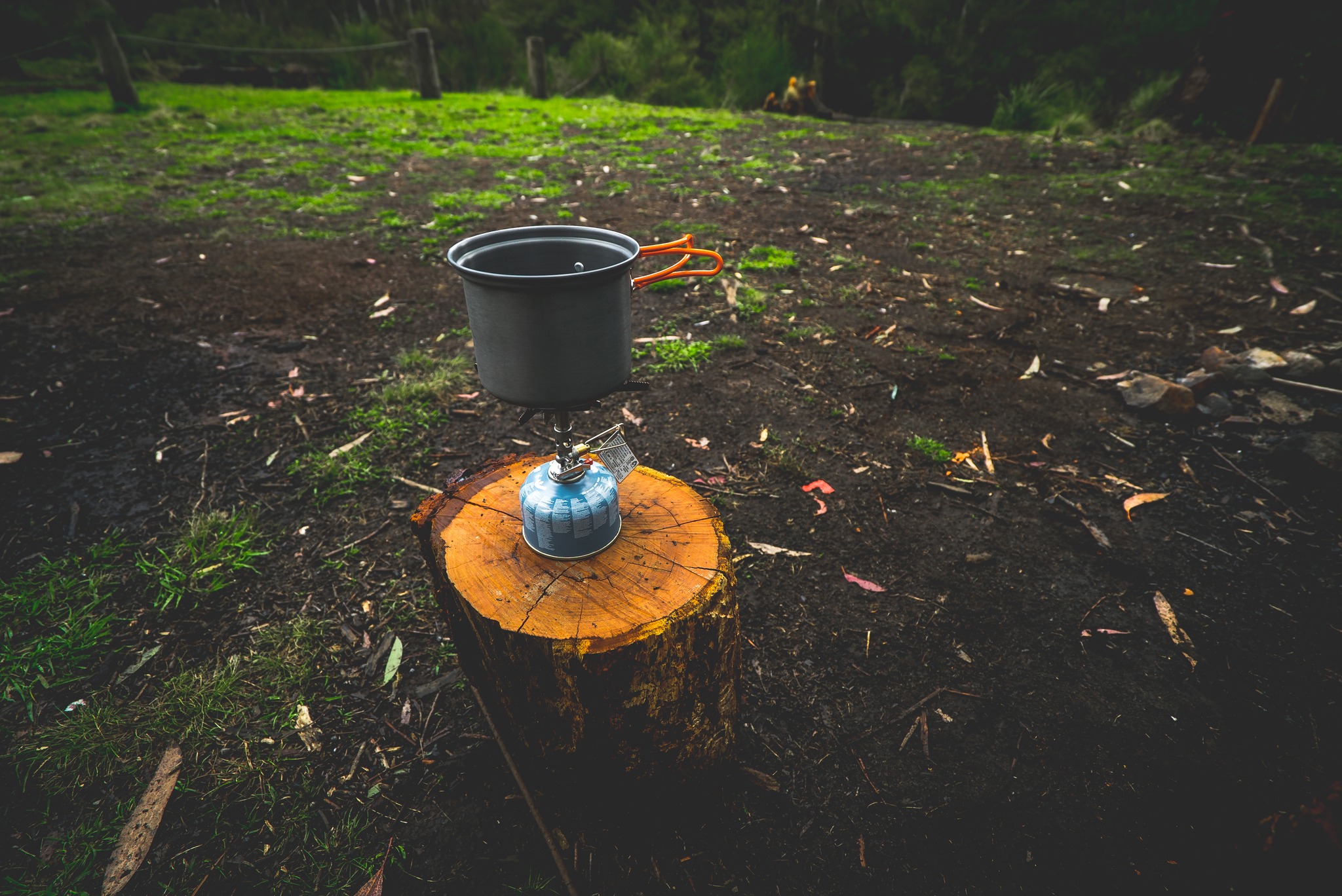 Campfire ban now in place for Pilliga Forest