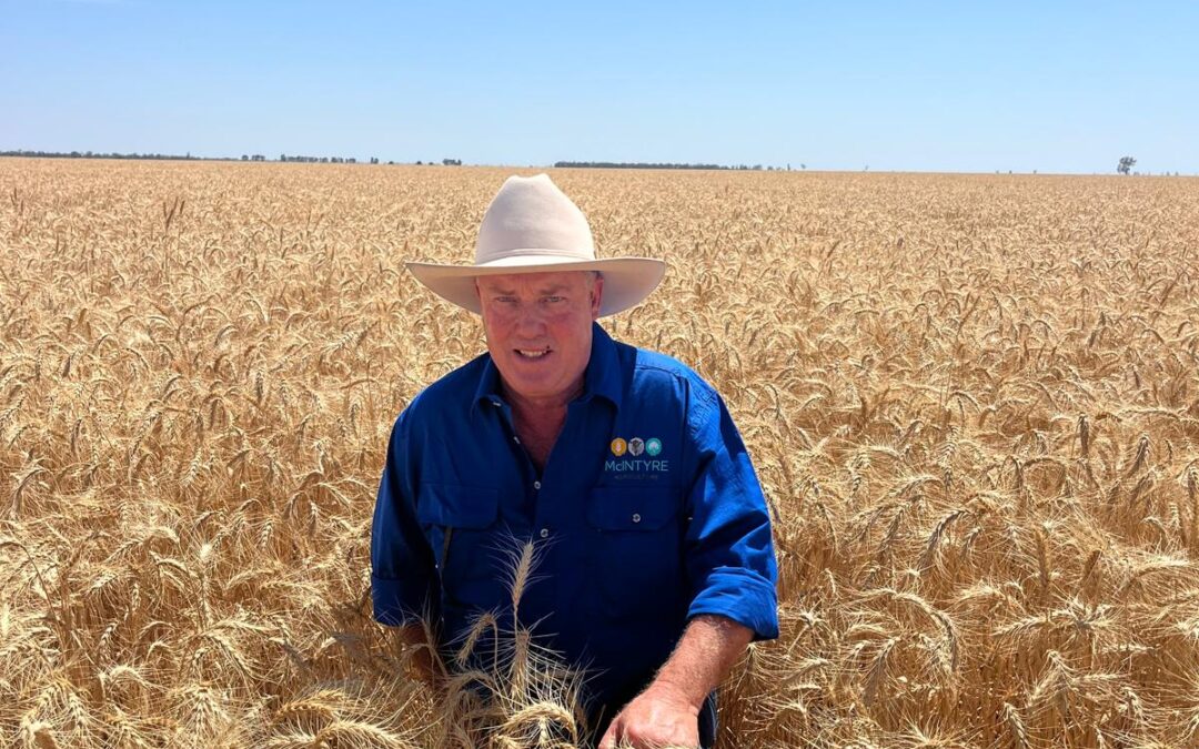 New president elected for  National Farmers’ Federation