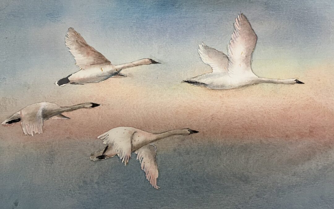 ‘More Than Words’ art exhibition opens next week