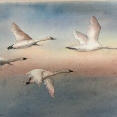 ‘More Than Words’ art exhibition opens next week