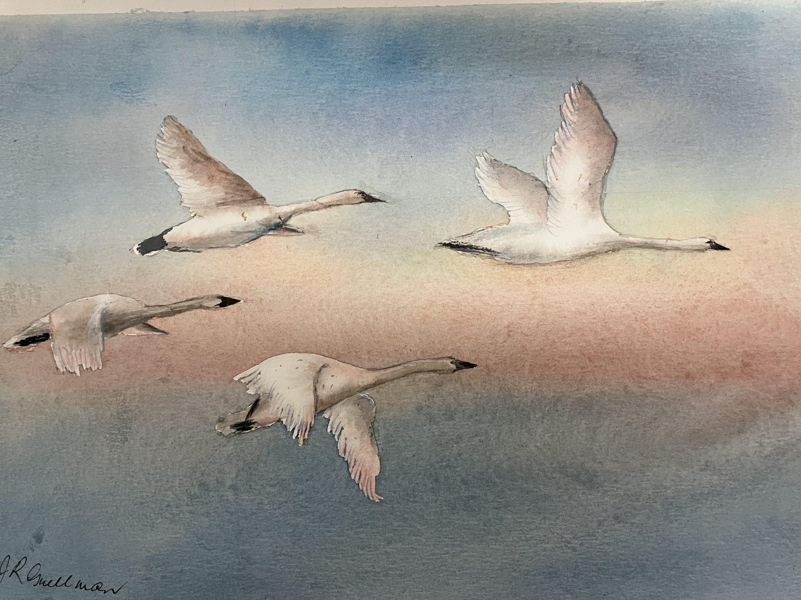 ‘More Than Words’ art exhibition opens next week