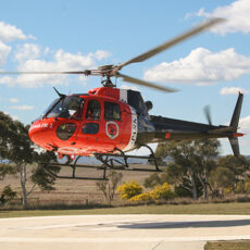 Feral animal shooting program in Boonalla heralds results