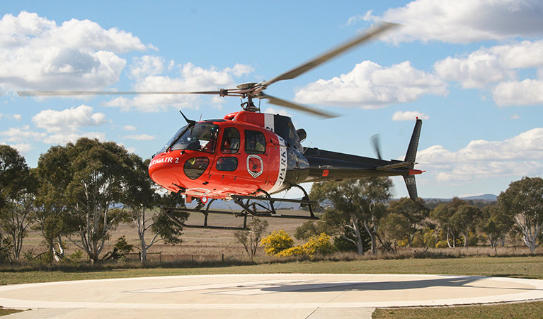 Feral animal  shooting program  in Boonalla  heralds results