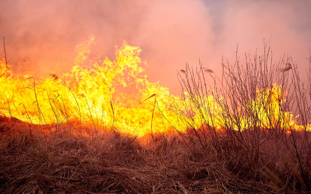 State government launches farm firefighting unit registration scheme