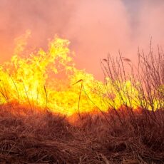 State government launches farm firefighting unit registration scheme