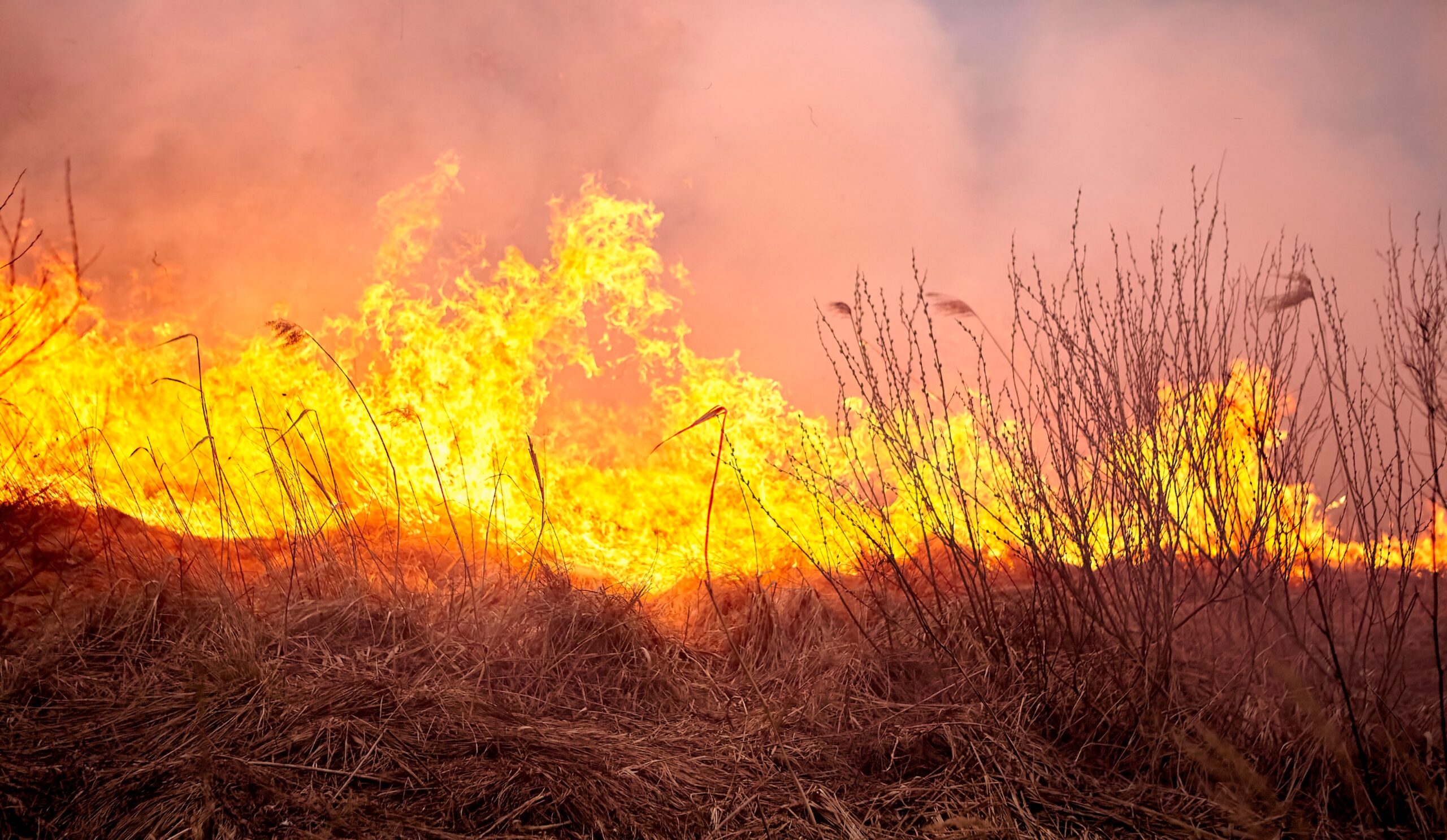 State government launches farm firefighting unit registration scheme