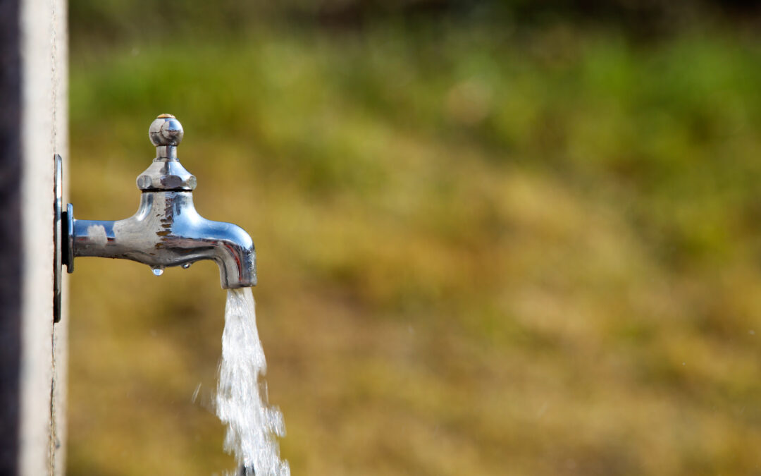 Watering times exemption introduced to  restrictions following end of daylight saving