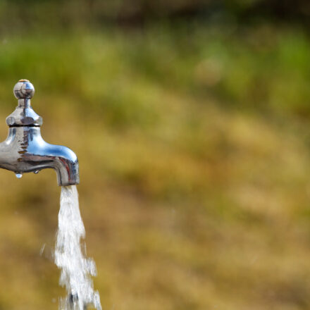 Watering times exemption introduced to  restrictions following end of daylight saving