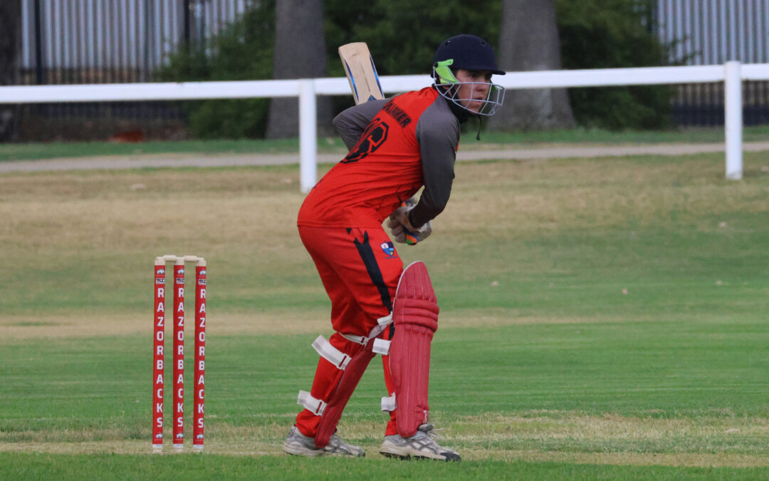 Wilga Hotel Razorbacks edge out Tatts in a Collins Park classic
