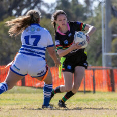 Wee Waa Panthers host annual general meeting and begin looking to the future