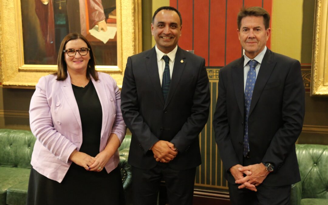 New NSW Nationals leader takes over following shock resignation