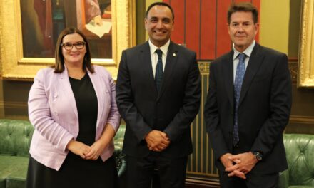 New NSW Nationals leader takes over following shock resignation