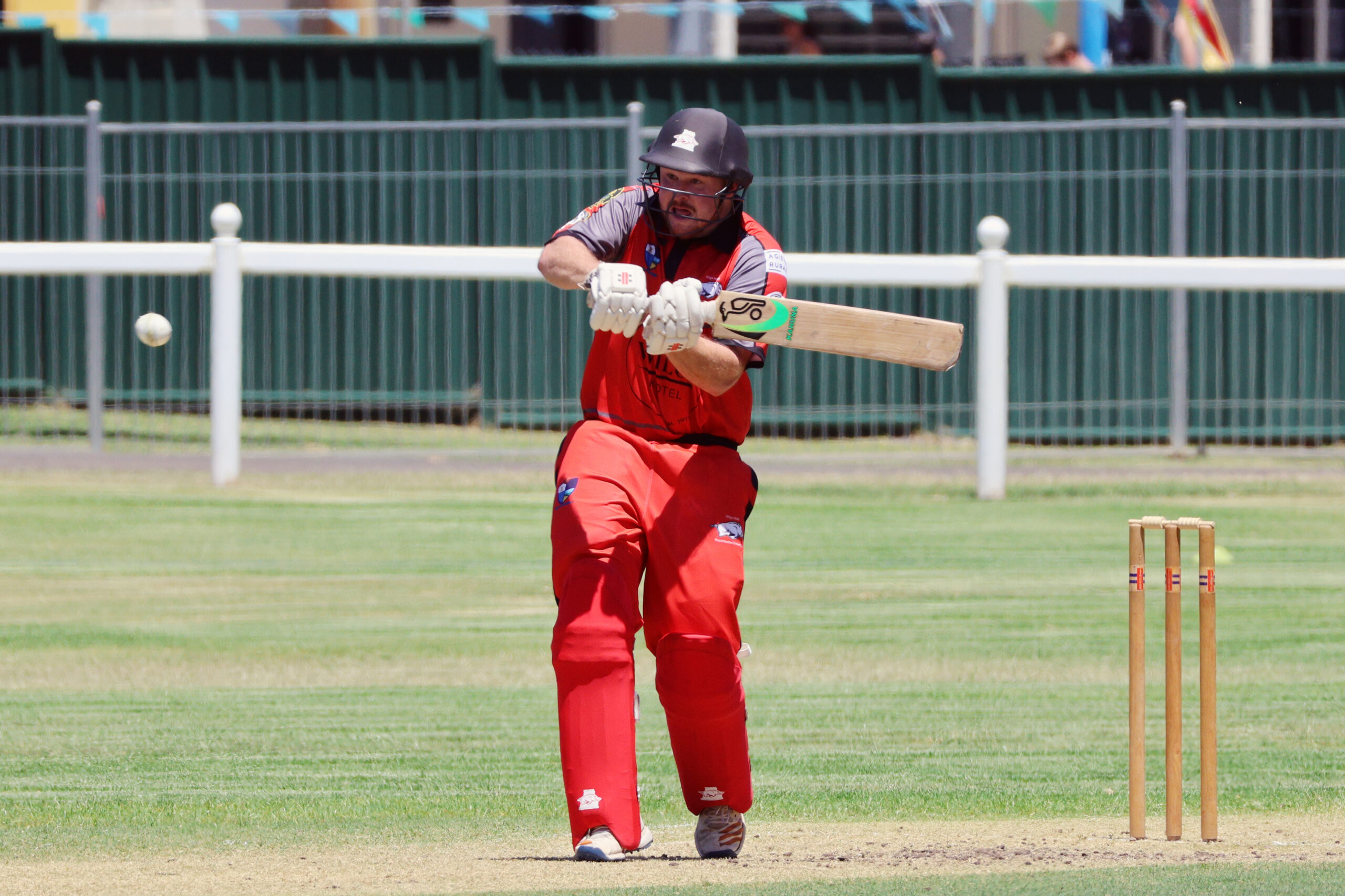 Wilga Hotel Razorbacks extend impressive unbeaten streak as Matt Bradshaw continues to fire