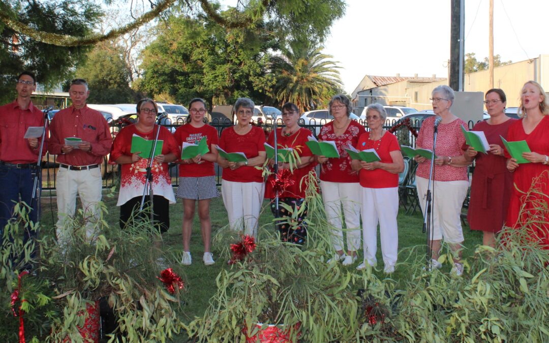 Boggabri Carols in the Park