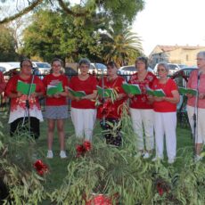 Boggabri Carols in the Park