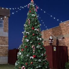 Chamber community Christmas tree takes pride of place in Maitland Street