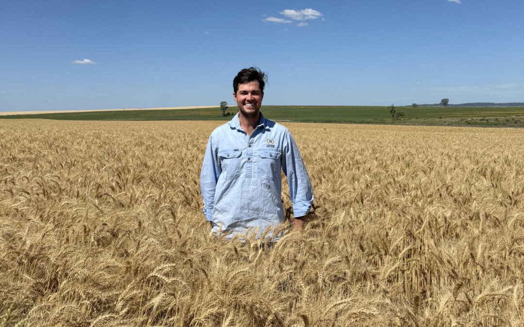 New cohort  announced for national grain leaders program