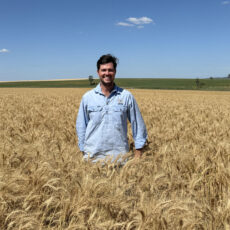 New cohort  announced for national grain leaders program