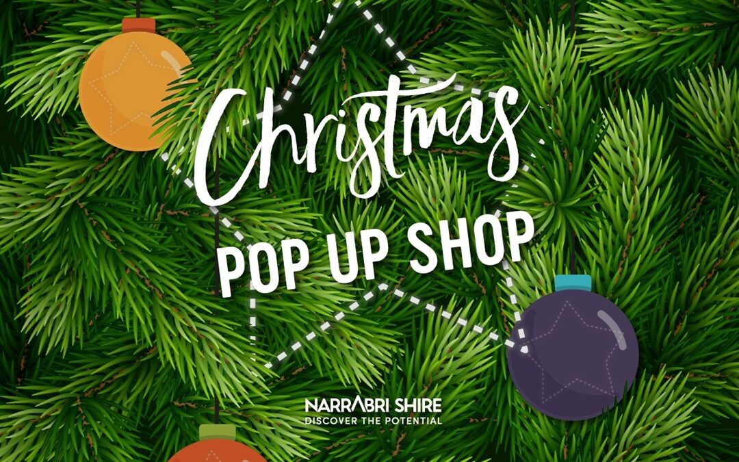 Shire Christmas Pop-Up Shop reopens