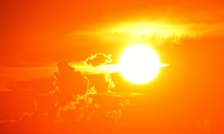 Below average rainfall forecast for summer months
