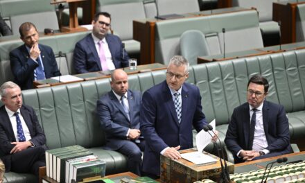Gun law concern across Parkes: Jamie Chaffey