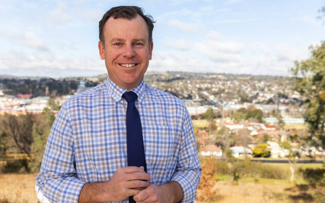 Feral pigs run riot  while state government runs another review