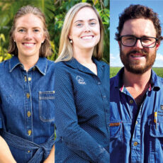 Future Cotton Leaders Program expands with record demand