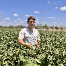 How a gap year sparked a passion for the cotton industry