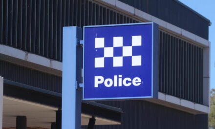 Investigation starts after bricks thrown at elderly couple during home invasion