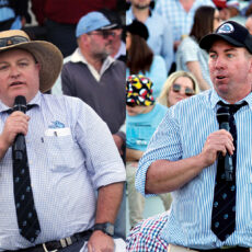 Premiership-winning duo at the helm of Narrabri Blues Boars’ men’s teams for 2026