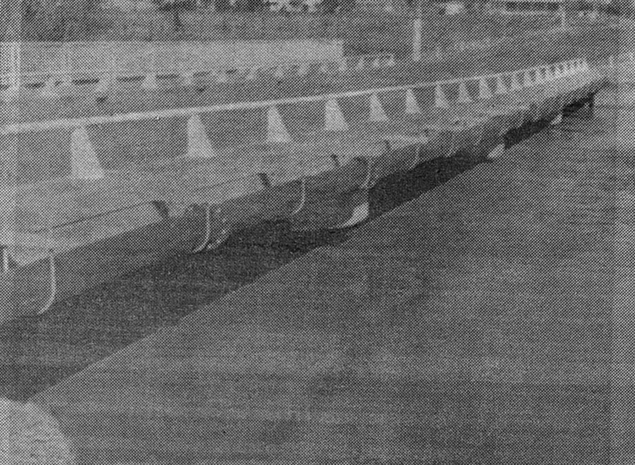 The day they opened the Violet Street bridge