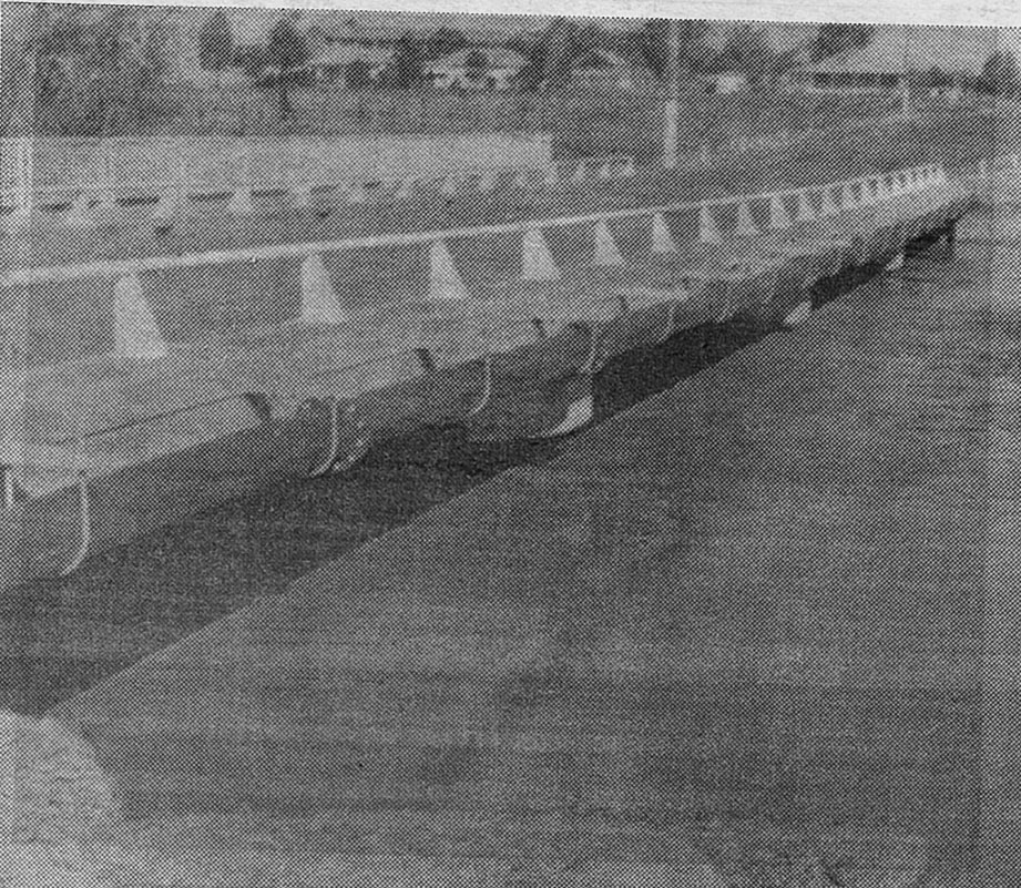 The day they opened the Violet Street bridge