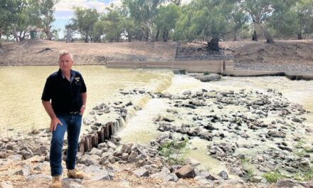 MP urges stakeholders to have say on Basin Plan Review