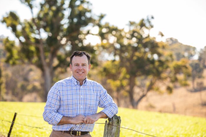 Feral pig blitz missing the mark