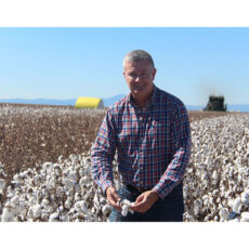 Cotton picking starts following mixed season