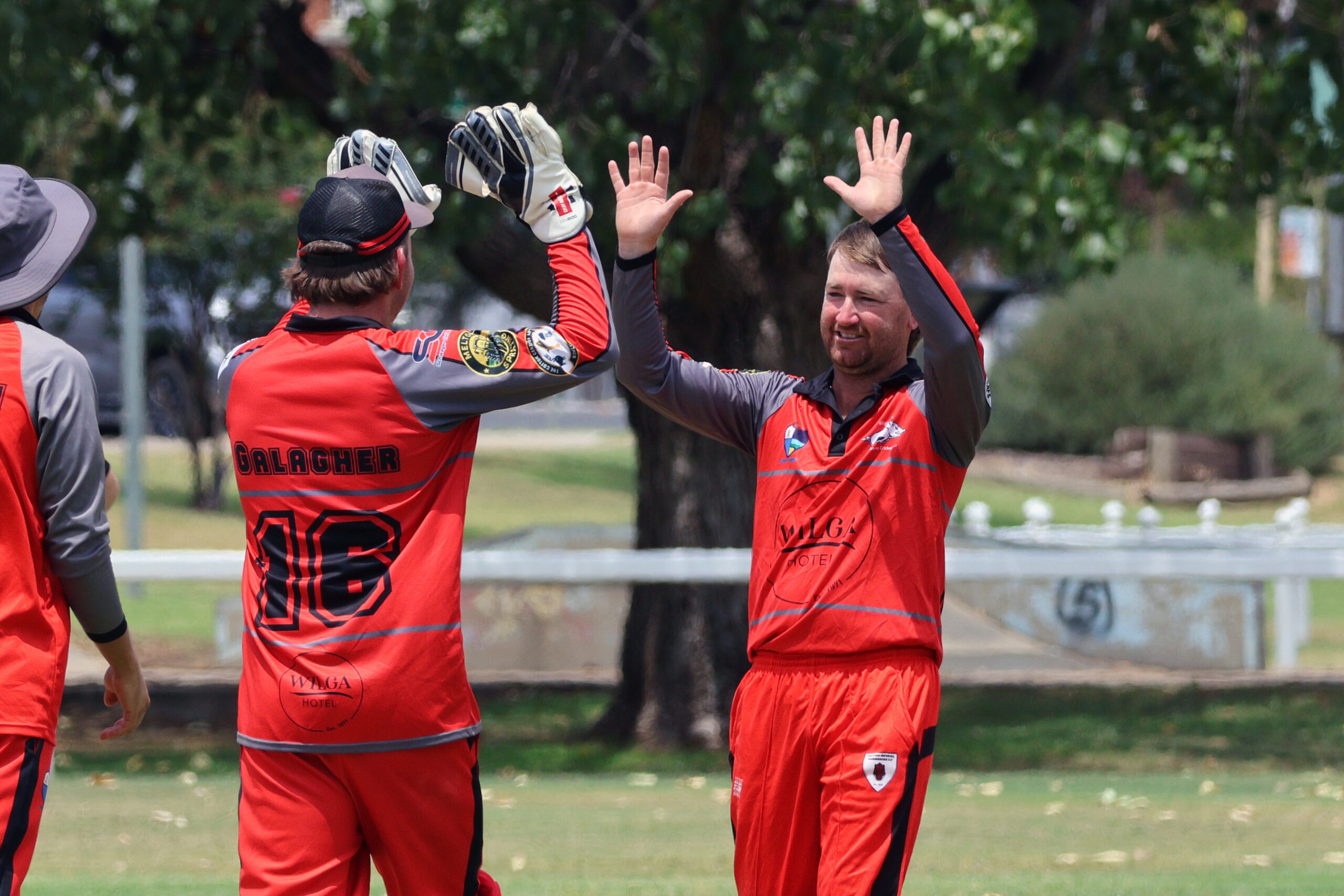 Five-wicket Hall sends Wilga Hotel Razorbacks three wins clear at the top of the table