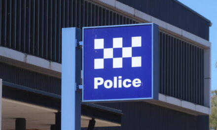 Two teens charged for allegedly throwing bricks at elderly couple during home invasion in Moree