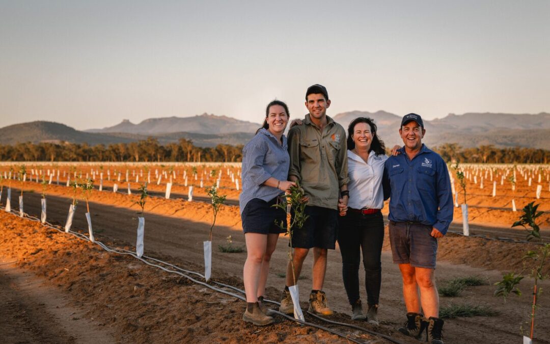 Eather family finalists for Farmer of the Year honour