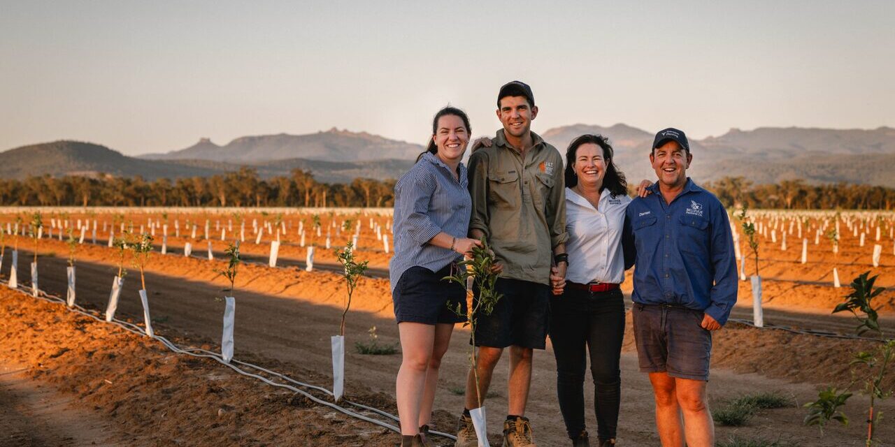 Eather family finalists for Farmer of the Year honour