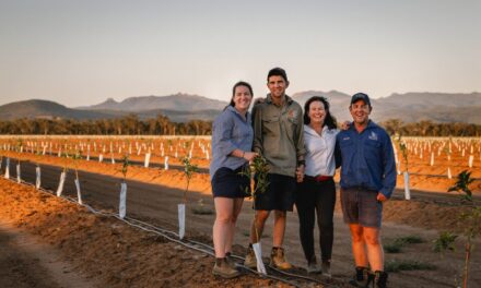 Eather family finalists for Farmer of the Year honour