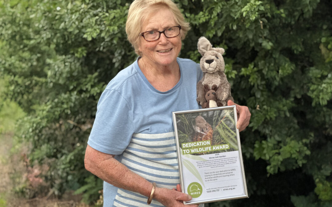 Kath Hamilton receives WIRES Dedication to Wildlife Award