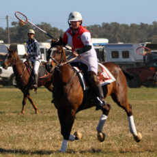 Local polocrosse guns to pull on the sky blue for NSW at Barastoc and Nationals
